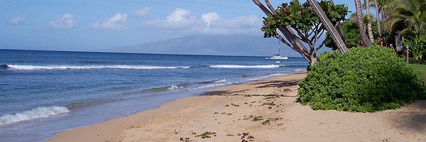 Maui Beach